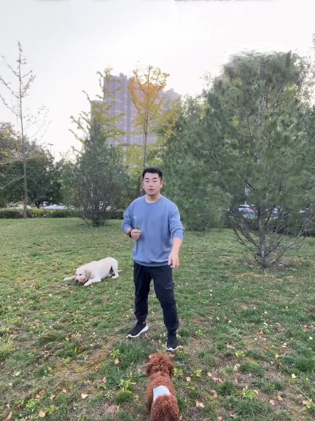 688adc4b1386a8003bf09dfa