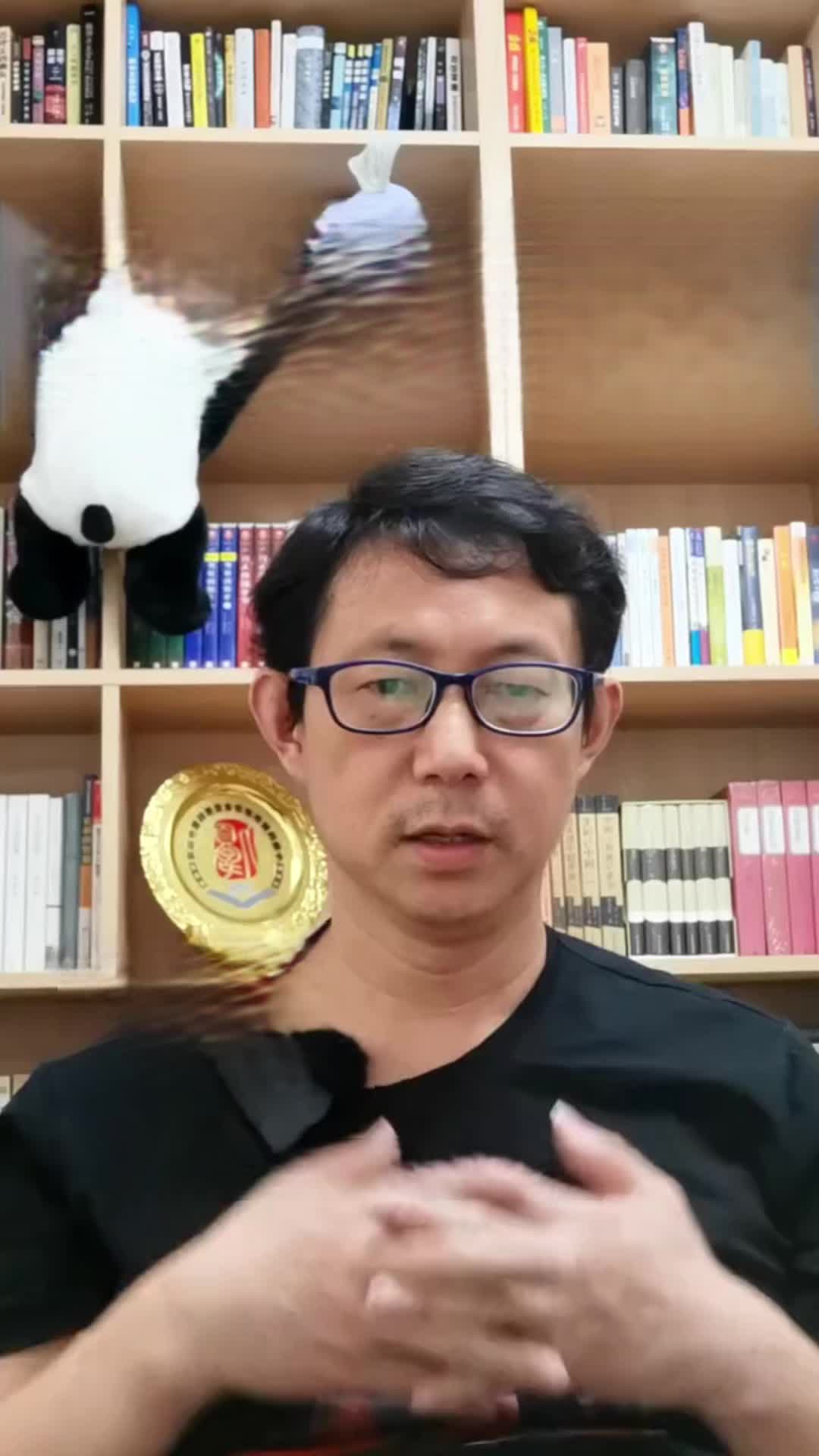 69155c3781de3f00599f5228