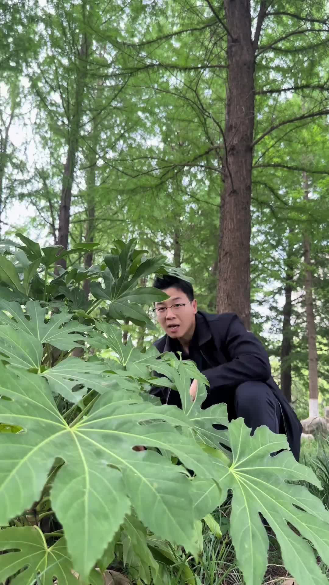 686e1a5c0618b30b1ef3c91a